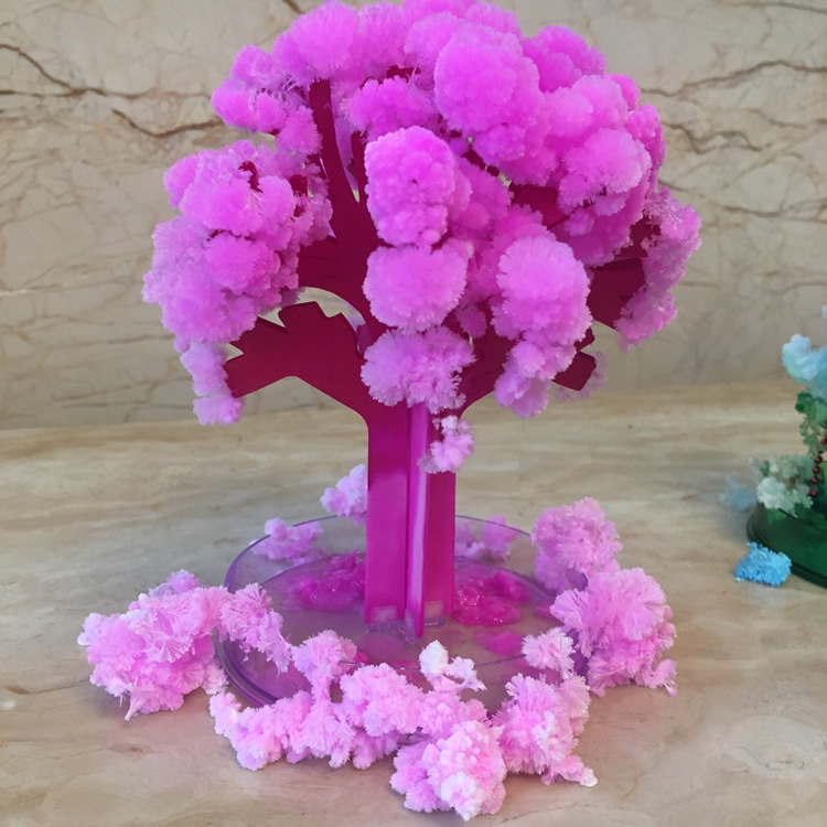 Kids Education Learn Tv - Sakura-árbol mágico de crecimiento para niños,