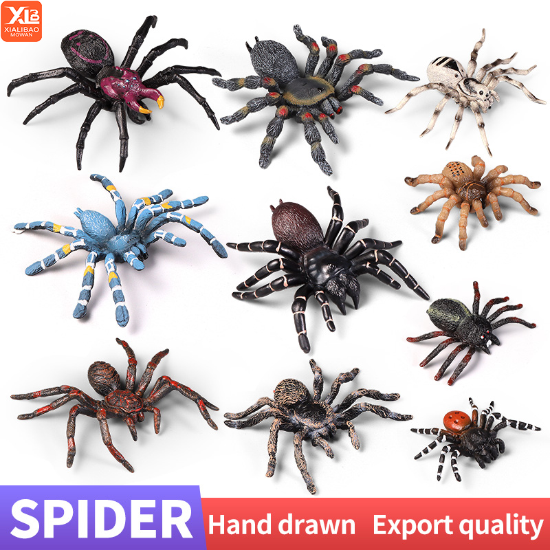 Kids Education Learn Tv - Juguetes educativos de insectos y arañas,
